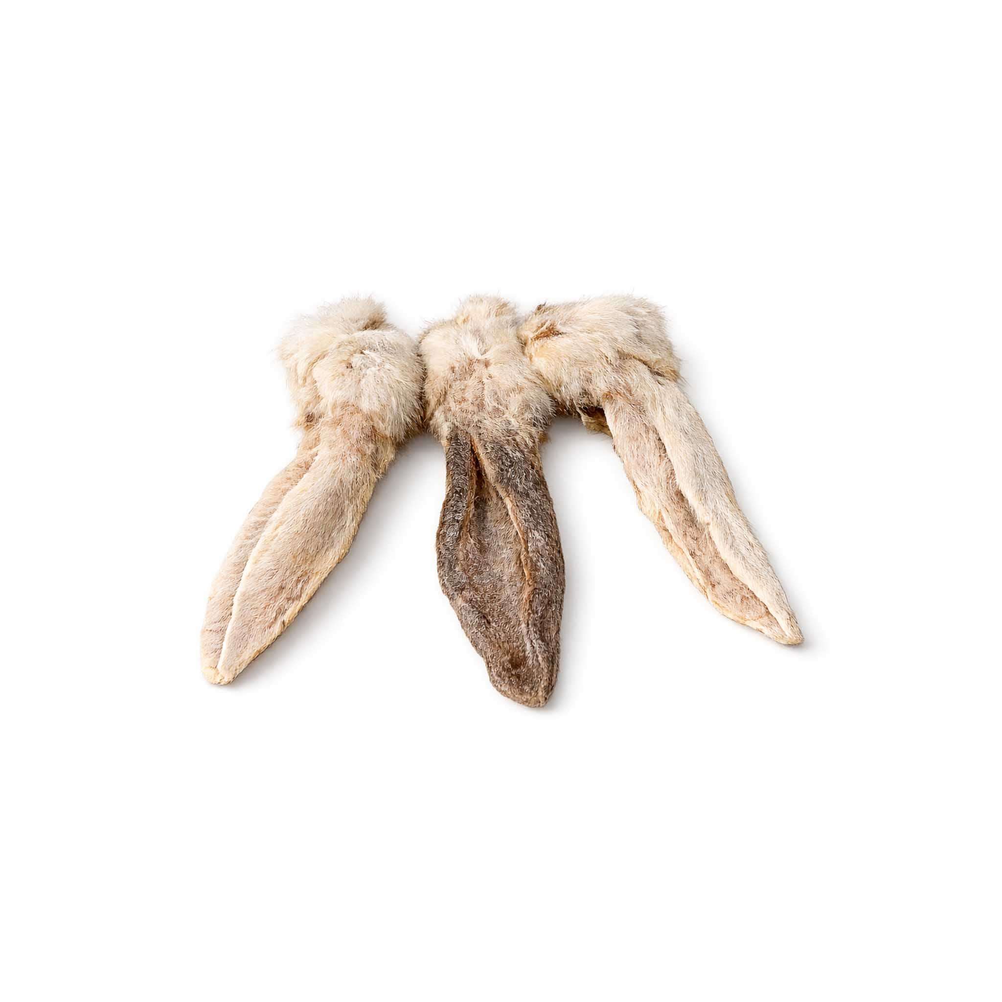 Masticativi naturali